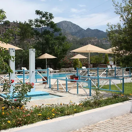 Отель Palmiye & Marina 2*