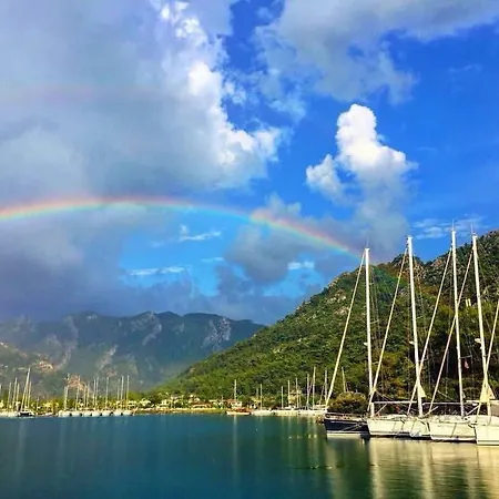 Palmiye & Marina Орхание