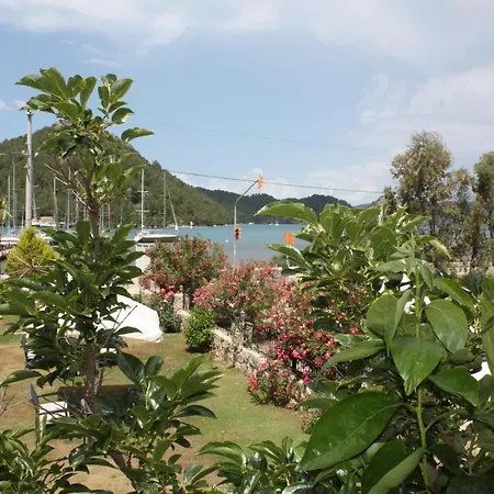 Palmiye & Marina Отель 2*