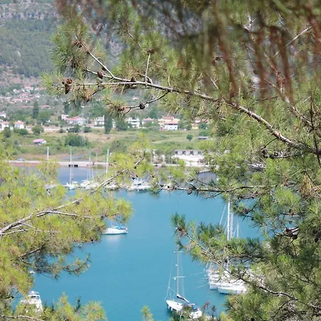 Отель Palmiye & Marina Орхание